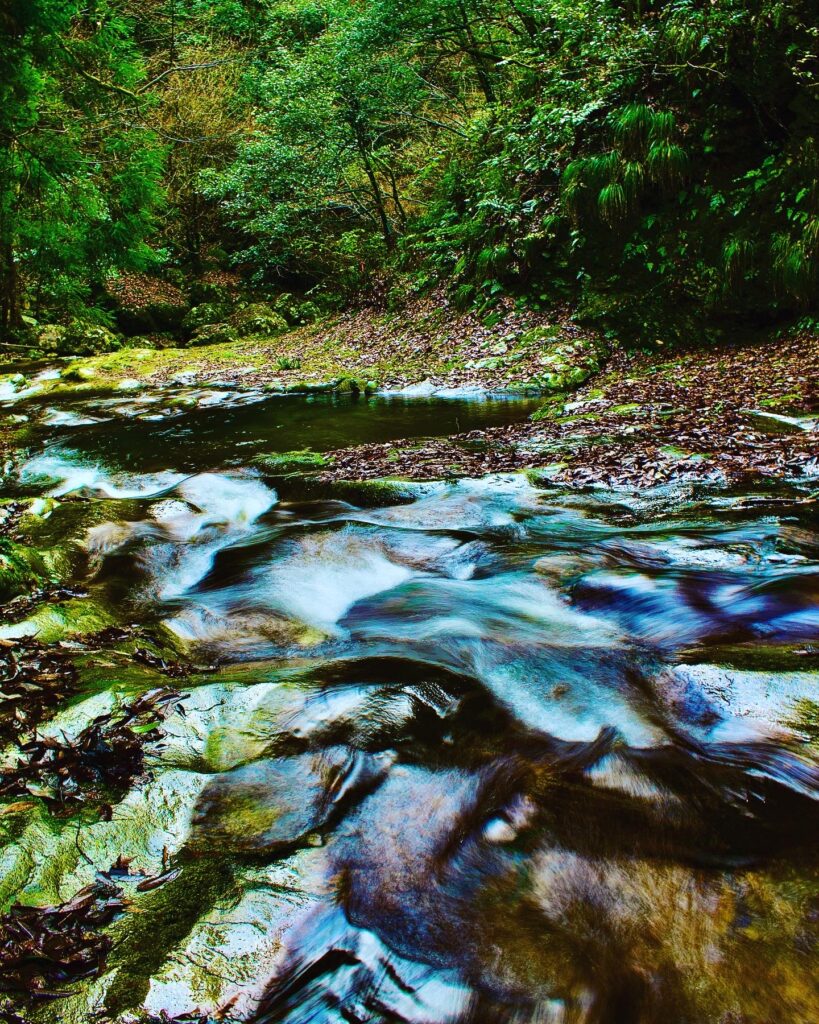 邑南町深篠川キャンプ場奥